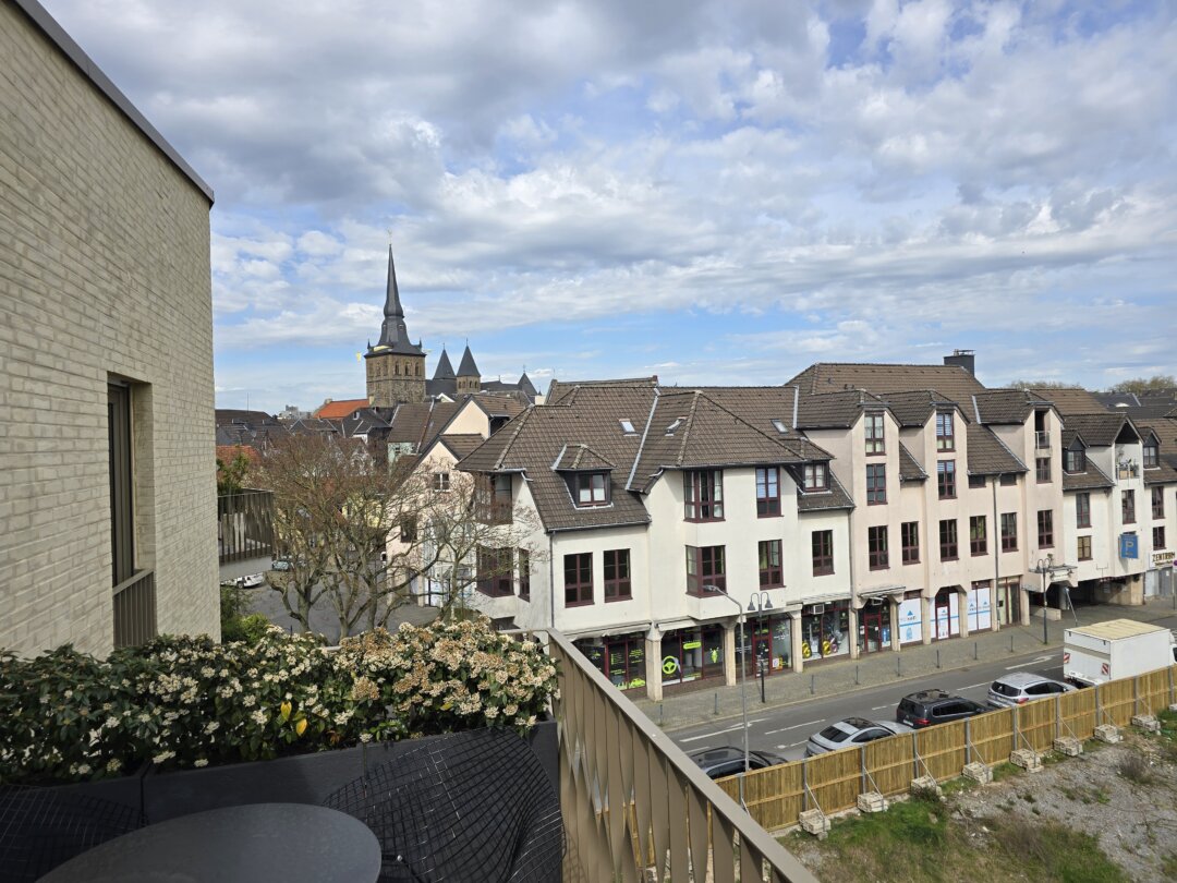 Blick auf die Rückseite des Zauns, Bild Alexander Heinz