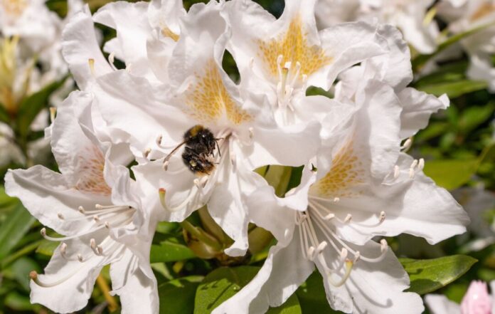 Wetter in Bonn Das Wetter soll in den kommenden Tagen frühlingshaft bleiben.