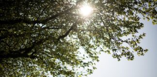Keine Wolke trübt den Sonnenschein am Gasometer: Wie hier in Oberhausen war der April in NRW sonnig, aber auch viel zu trocken.