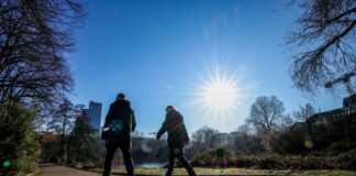 Das milde Wetter eignet sich diese Woche ideal für einen ausgiebigen Spaziergang. (Symbolbild) 