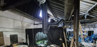 Cannabisplantage in Remscheid entdeckt. 