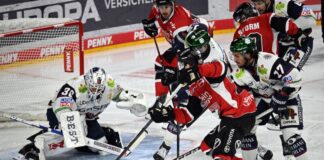 Vor Spiel sechs in Köln: Saison-Aus für Eisbären-Keeper Für Keeper Jake Hildebrand ist die Saison beendet. (Archivbild)