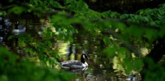 Sonniges Wetter in NRW – 20 Grad am Mittwoch erwartet Auch in der zweiten Wochenhälfte bleibt es trocken.