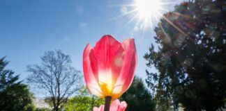 Die Temperaturen in NRW steigen auf bis zu 21 Grad an.
