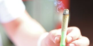 Niederländische Polizei beschlagnahmt 86.000 Joints Die niederländische Polizei hat eine gigantische Menge vorgedrehter Joints beschlagnahmt (Symbolfoto).