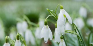 Nass bleibt es am Dienstag im Süden von NRW. (Symbolbild)