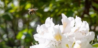 Die Temperaturen erreichen am Montag vielerorts um 20 Grad. 