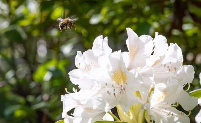 Wetter in Bonn Die Temperaturen erreichen am Montag vielerorts um 20 Grad.