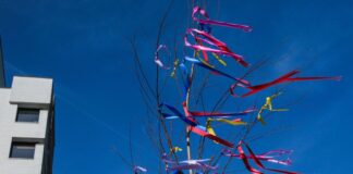 Vielerorts gibt es Verkaufsstellen für Maibäume. 