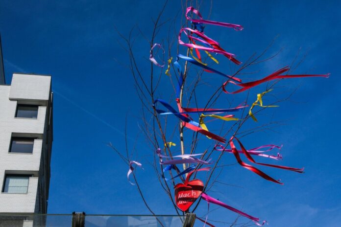 Maibaum in Köln Vielerorts gibt es Verkaufsstellen für Maibäume.