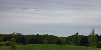 Regen und Wolken zum Wochenstart Am Dienstag sind laut DWD auch Schauer möglich. (Archivbild)