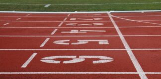 Kreis Mettmann unterstützt Olympia-Bewerbung Die Olympischen Spiele wären nach Meinung von Landrätin Bettina Warnecke eine Chance für das Rheinland und den Kreis Mettmann. Foto: pixabay