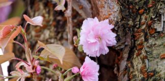 Wolken und Regen zum Ende der Woche – vereinzelt Gewitter In NRW wird es mild, aber auch mal nass. (Symbolbild)