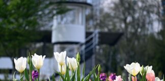 Wechselhaftes Aprilwetter in NRW In den kommenden Tagen den Regenschirm nicht vergessen, etwa für die Landesgartenschau in Neuss. (Archivbild)
