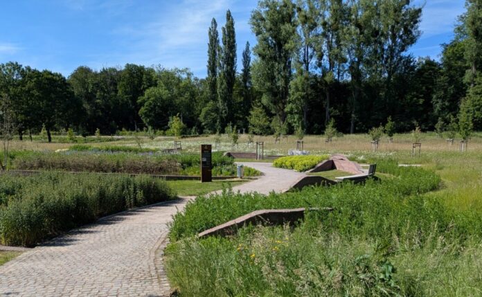 2026-05-29Cromfordwiesen Die Cromfordwiesen als Beispiel für ökologische Aufwertung in der Stadt. Foto: Stadt Ratingen
