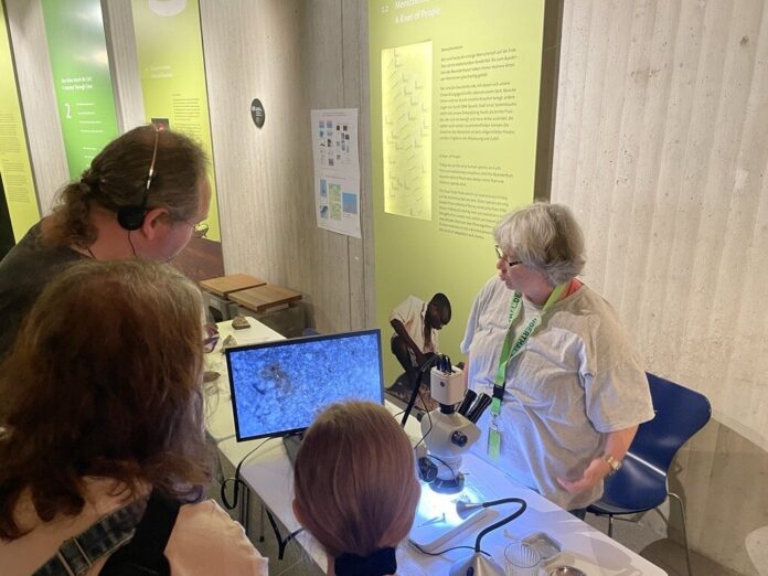 Der Tag der Forschung findet im Neanderthal-Museum statt. Foto: Museum Der Tag der Forschung findet im Neanderthal-Museum statt. Foto: Museum