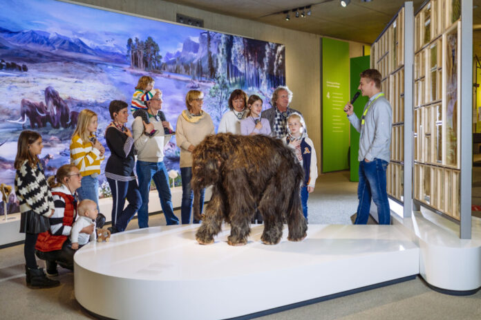 Für Familien gibt es Führungen durch die Dauerausstellung. Foto: Neanderthal-Museum Für Familien gibt es Führungen durch die Dauerausstellung. Foto: Neanderthal-Museum