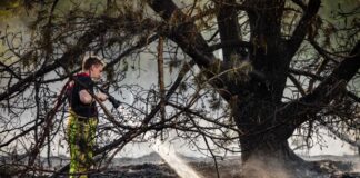 Zur Bekämpfung der Flammen baten die Niederlande zum ersten Mal auch andere Länder um Hilfe.