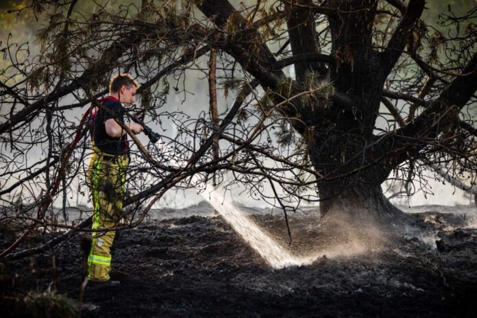 Naturbrände in den Niederlanden Zur Bekämpfung der Flammen baten die Niederlande zum ersten Mal auch andere Länder um Hilfe.
