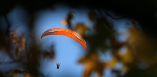 Gleitschirmflieger bleibt in Baum hängen Der Gleitschirmflieger blieb in einem Baum hängen. (Symbolbild)