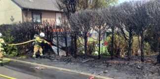 Mettmanner Feuerwehr mehrfach gefordert Der Heckenbrand ging glimpflich aus. Foto: FW Mettmann