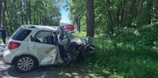 Auto prallt gegen Bäume – Frau stirbt, Mann schwer verletzt Warum das Auto von der Straße abkam, war zunächst unklar.