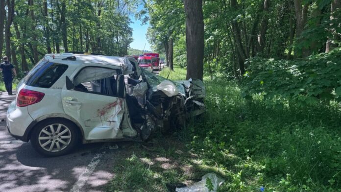 Tödlicher Autounfall auf Landstraße bei Blankenheim Warum das Auto von der Straße abkam, war zunächst unklar.