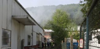 Feuer in Lagerhalle – Einsatzkräfte finden Drogen-Plantage In einer brennenden Halle haben Einsatzkräfte eine professionell betriebene Cannabis-Plantage entdeckt.
