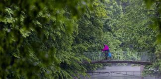 In NRW können Unwetter aufziehen In NRW können Unwetter mit Starkregen aufziehen. (Archivbild)