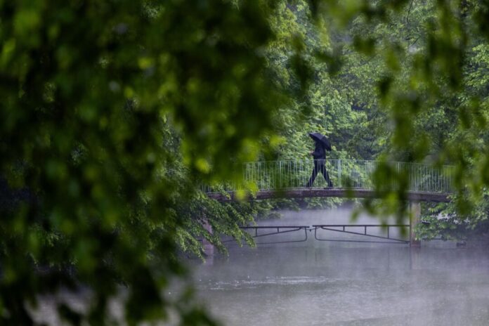 Regen in Köln Es bleibt regnerisch in NRW am Wochenende.