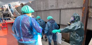 Hantavirus: Deutsche Passagiere sollen in Quarantäne Passagiere dürfen nach einer ersten Untersuchung durch Ärzte auf Teneriffa die «Hondius» verlassen.