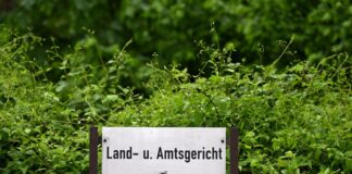 Prozess wegen Tierquälerei auf Schlachthof gestartet Vor dem Kölner Amtsgericht müssen sich vier frühere Schlachthof-Mitarbeiter wegen Tierquälerei verantworten. (Symbolbild)