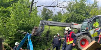 Pferd eingeklemmt – Einsatzkräfte retten Tier aus Notlage In Velbert befreien Einsatzkräfte ein Pferd aus seiner misslichen Lage.