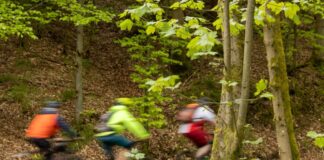 Radfahren im Wald soll eingeschränkt werden Das Radfahren im Wald soll in NRW eingeschränkt werden. (Symbolbild)