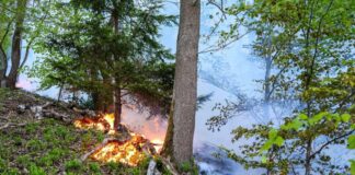 Grüne für bessere Ausrüstung nach ersten Mai-Waldbränden Der Waldbrand in Werdohl kam einer Siedlung bedrohlich nah. (Archivbild)