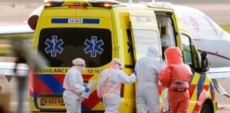 Fünf Hantavirus-Infektionen – WHO: Ausbreitungsrisiko gering Untersuchungen auf das Hantavirus laufen noch.