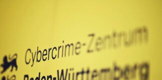 Illegale Plattform, Fakeshops – Verdächtiger sitzt in Haft Cyber-Ermittler legen Fakeshop-Betreiber das Handwerk. (Archivbild)