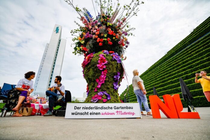 Riesige Vase mit über 800 Blumen in Düsseldorf Das farbenfrohe Fotomotiv ist heute nur fünf Stunden lang zu sehen.