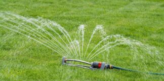 Trinkwasser in Jülich wird knapp Die Stadtwerke rufen die Bürger zum Wassersparen auf. Auf das Bewässern von Rasen solle verzichtet werden.