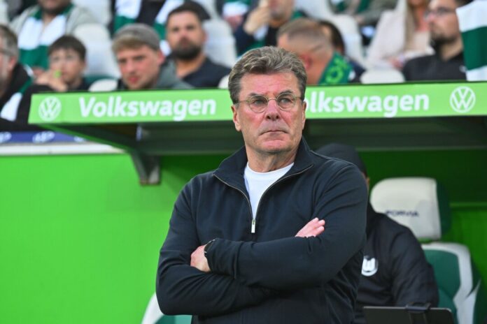 Wolfsburgs Trainer Dieter Hecking Trainer Dieter Hecking vom VfL Wolfsburg.