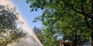 Extreme Hitze: Wasserverband rettet Fische am Abtskücher Teich Um einem möglichen Fischsterben entgegenzuwirken, hat der Bergisch-Rheinische Wasserverband (BRW) bereits in den frühen Morgenstunden zum Freitag erste Hilfsmaßnahmen durchgeführt. Foto: BRW