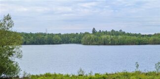 Ratingen: Online-Umfrage über den Silbersee Für den Silbersee wird aktuell ein Schutzkonzept erarbeitet. Foto: Stadt Ratingen