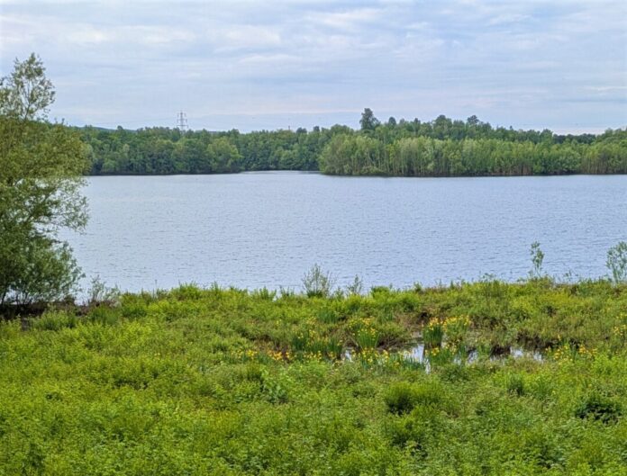 Für den Silbersee wird aktuell ein Schutzkonzept erarbeitet. Foto: Stadt Ratingen Für den Silbersee wird aktuell ein Schutzkonzept erarbeitet. Foto: Stadt Ratingen