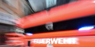 Reh landet in Pool – Feuerwehr hilft aus dem Wasser Nach Angaben der Feuerwehr erwies sich das Tier als ungewöhnlich zutraulich und näherte sich den Helfern am Beckenrand. (Symbolbild)