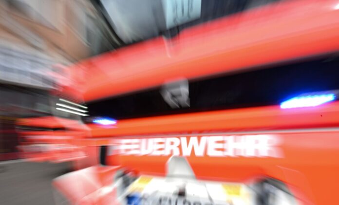Feuerwehr Nach Angaben der Feuerwehr erwies sich das Tier als ungewöhnlich zutraulich und näherte sich den Helfern am Beckenrand. (Symbolbild)