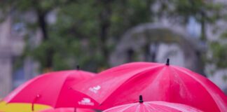 Wolken und Regen zum Ende der Woche – am Samstag heiter Am Wochenende braucht man in Nordrhein-Westfalen vielerorts einen Regenschirm.