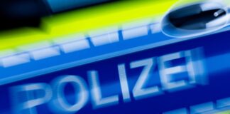 Strafvereitelung: Polizisten aus Dienst entfernt Strafvereitelung: Polizisten aus Dienst entfernt (Symbolbild)