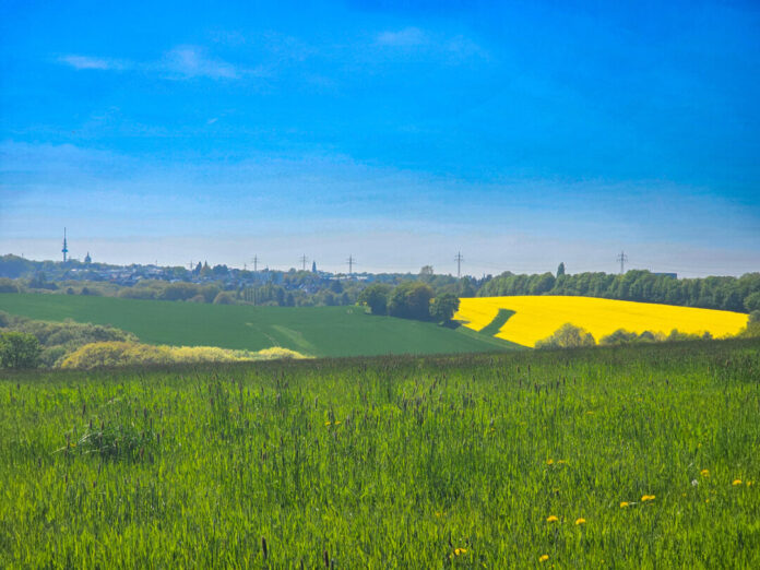 Hitze Kreis Mettmann Die Sonne beweist in diesen Tagen ihre Kraft. Foto: Volkmann