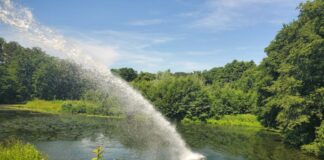 Wülfrather Feuerwehr hilft Fischen im Aprather Teich Reichlich frisches Wasser hat die Feuerwehr in den Teich gegeben. Foto: FW Wülfrath