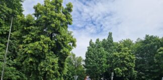 Sperrung in Wülfrath am Mittwoch und Donnerstag